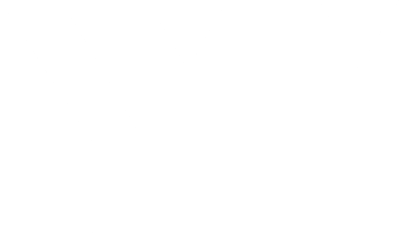 YT Logo (wht)